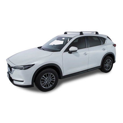 Vortex ROC25 Flush | Rhino-Rack