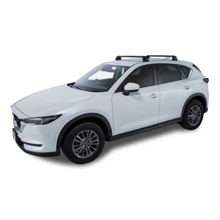 Vortex ROC25 Flush | Rhino-Rack